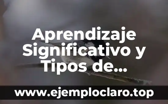 Concepto de Aprendizaje Significativo y Ejemplos 3 Aprendizaje Significativo y Tipos de Conocimiento en Slideshare