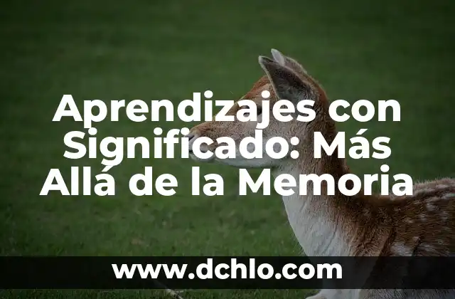 Michoacán, el significado más allá de la muerte 5 Aprendizajes con Significado: Más Allá de la Memoria