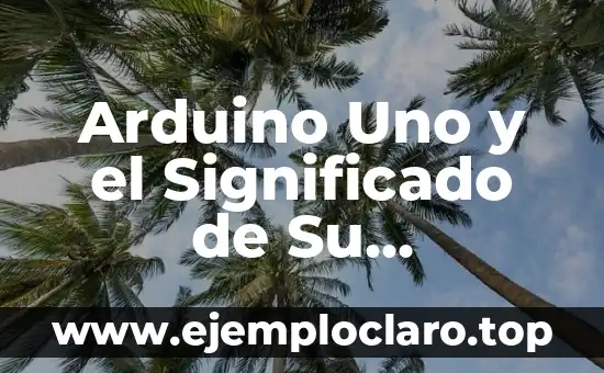 Arduino Uno y el Significado de Su Programación