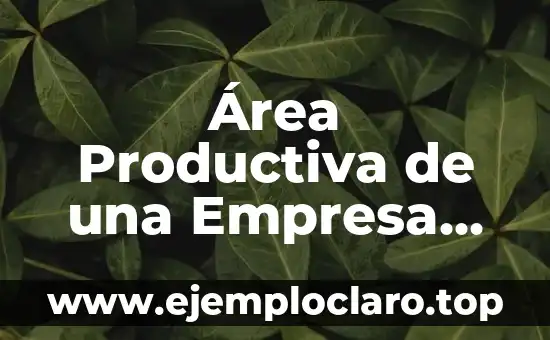 Significado de Albricias: Descubre el Concepto y su Origen 3 Área Productiva de una Empresa Significado