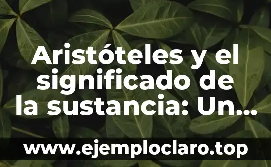 Borde Libre de la Una Significado: Explorando un Concepto Filosófico 5 Aristóteles y el significado de la sustancia: Un enfoque filosófico