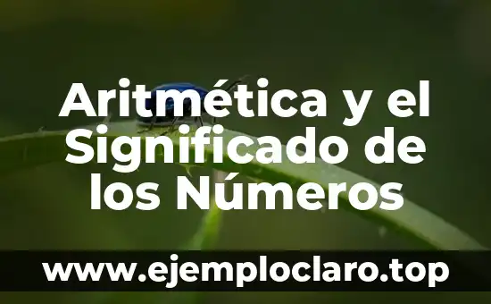 Aritmética y el Significado de los Números
