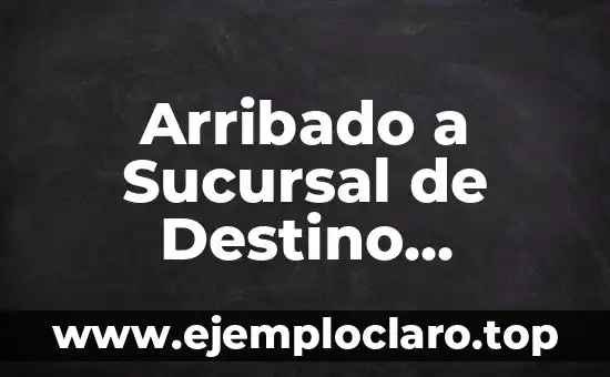 Significado de Sucursal: Todo lo que Necesitas Saber 4 Arribado a Sucursal de Destino Significado