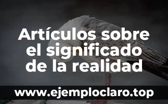Artículos sobre el significado de la realidad