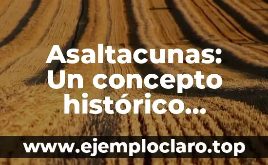Asaltacunas: Un concepto histórico profundo