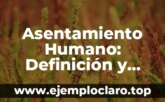 Asentamiento Humano: Definición y Conceptos Básicos