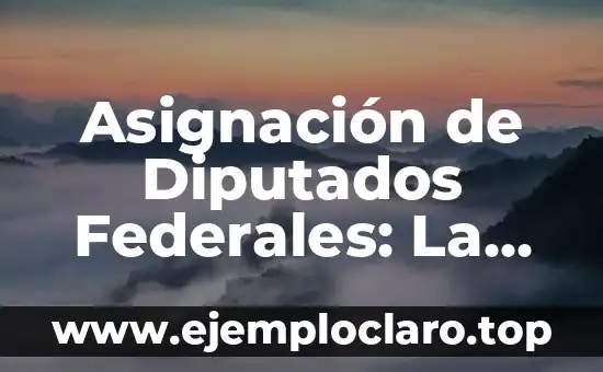 Asignación de Diputados Federales: La Distribución de Escaños en el Sistema Político