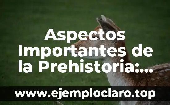 La Joie de Vivre: Un Viaje al Significado de la Alegría de Vivir 6 Aspectos Importantes de la Prehistoria: Un Viaje al Pasado