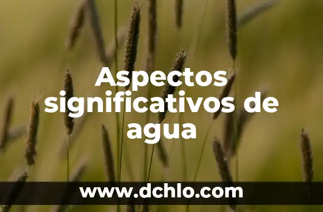 Agua de Avena para Qué Sirve: Descubre los Beneficios para tu Salud 4 Aspectos significativos de agua