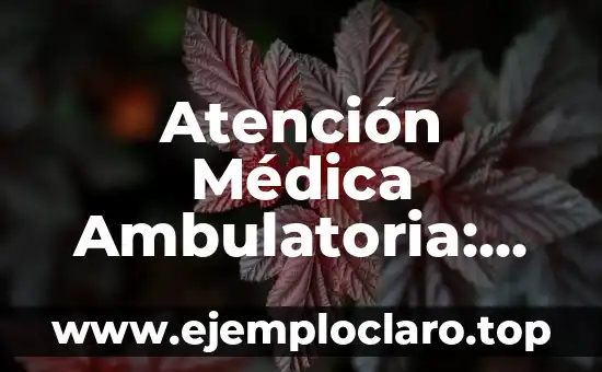 Significados Cívicos de la Libertad: Un Enfoque Integral 5 Atención Médica Ambulatoria: Un Enfoque Integral en Salud