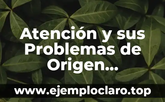 Atención y sus Problemas de Origen Biológico