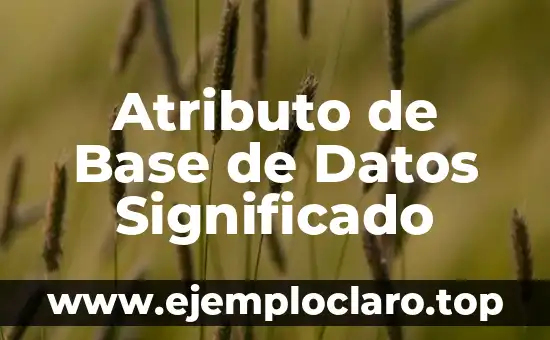 Base de Datos: Concepto y Significado 4 Atributo de Base de Datos Significado