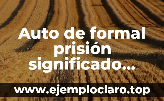 El Significado de la Lógica Formal: Una Guía Completa 5 Auto de formal prisión significado jurídico