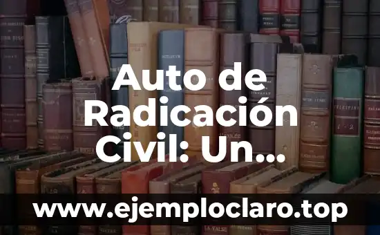 Bajo Pena de Perjurio: Un Concepto Legal Fundamental 7 Auto de Radicación Civil: Un Documento Legal Fundamental
