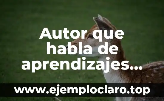 Autor de la Teoría del Aprendizaje Significativo: Una Guía Completa 4 Autor que habla de aprendizajes significativos