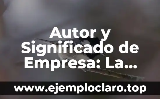 Autor y Significado de Empresa: La Esencia del Éxito Empresarial
