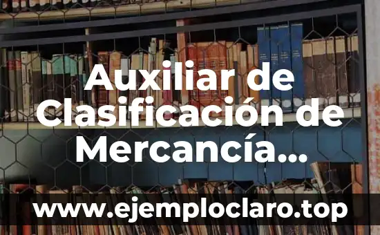 El Significado de la Verdad: Un Concepto Universal 5 Auxiliar de Clasificación de Mercancía Significado