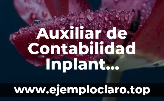 Concepto, Definición y Significado de DIN 3 Auxiliar de Contabilidad Inplant Significado
