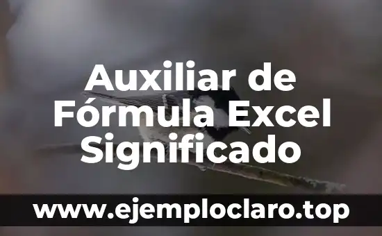 Concepto, Definición y Significado de ANSI 8 Auxiliar de Fórmula Excel Significado