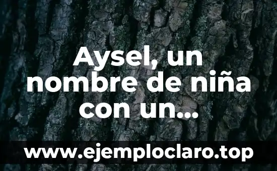 Concepto de Iconografía y su Significado 5 Aysel, un nombre de niña con un significado especial