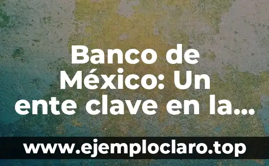 Zona de Vigilancia Aduanera: Un Concepto Clave en la Seguridad Fronteriza 7 Banco de México: Un ente clave en la economía