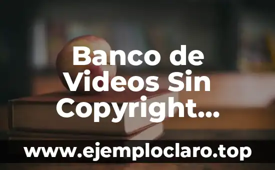 Ganador de Maestros de la Costura: Descubre el Arte de la Costura de Alta Calidad 4 Banco de Videos Sin Copyright Gratis: Recursos Visuales de Alta Calidad para Tu Contenido