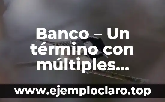Sumisión: Un Concepto con Múltiples Facetas 4 Banco – Un término con múltiples significados