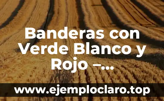 ¿Cuál es el color que se obtiene al mezclar rojo y azul? 3 Banderas con Verde Blanco y Rojo – Significado y Países que las Utilizan