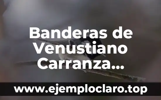 El Significado de las Banderas 3 Banderas de Venustiano Carranza México