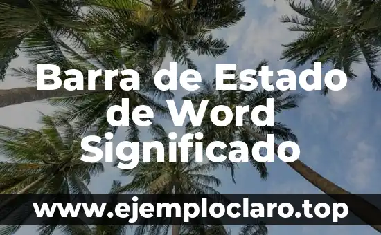 Audiencia 345 - Un Concepto Legal en el Estado de Veracruz 3 Barra de Estado de Word Significado