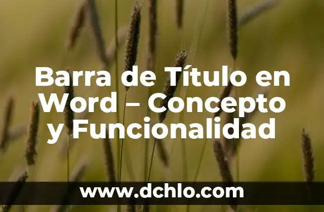Cómo hacer mapa de corchetes de Word 7 Barra de Título en Word – Concepto y Funcionalidad