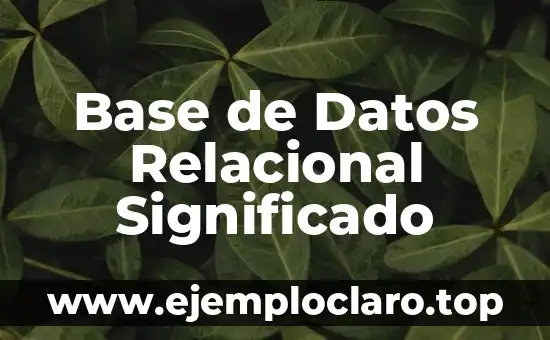 Base de Brønsted Law - Concepto Fundamental en Química 8 Base de Datos Relacional Significado