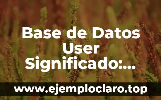 Base de Brønsted Law - Concepto Fundamental en Química 7 Base de Datos User Significado: Guía Completa y Detallada