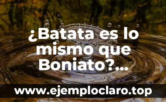 ¿Batata es lo mismo que Boniato? Descubre la verdad