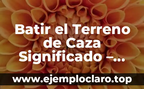 Batir el Terreno de Caza Significado – Técnicas de Exploración en la Caza