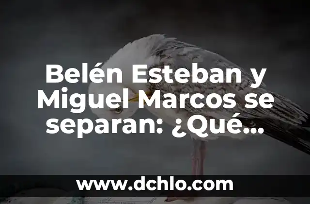 Como hacer marcos en Excel 8 Belén Esteban y Miguel Marcos se separan: ¿Qué pasó en realidad?