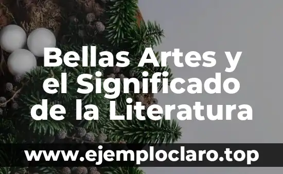 Significado Literario de Bellas Artes: Un Viaje al Corazón del Arte 5 Bellas Artes y el Significado de la Literatura