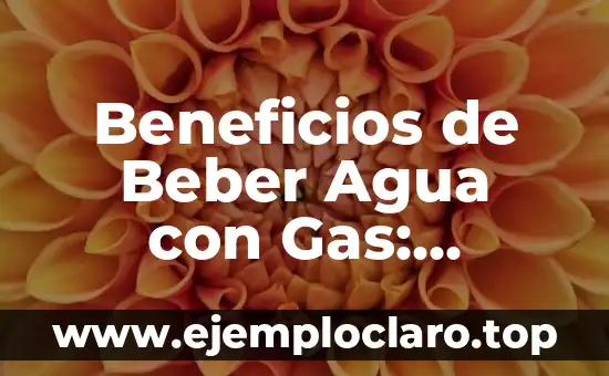 ¿Es malo beber mucha agua y orinar mucho? Descubre la verdad 4 Beneficios de Beber Agua con Gas: Descubre los Secretos