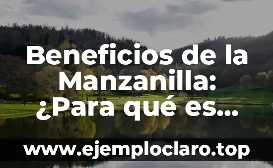 Beneficios de la Manzanilla: ¿Para qué es buena?