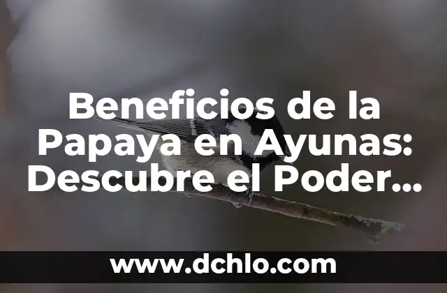 El Poder de la Historia para Inspirar y Motivar 4 Beneficios de la Papaya en Ayunas: Descubre el Poder de la Papaya en el Ayuno