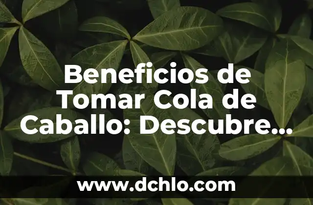 Cola de Caballo: ¿Qué es Bueno para la Salud y la Belleza? 7 Beneficios de Tomar Cola de Caballo: Descubre los Poderosos Efectos en Tu Salud