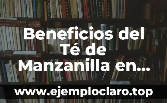 ¿Quién es Conchita, la ganadora de Tu Cara Me Suena? 6 Beneficios del Té de Manzanilla en la Cara: Cómo Mejorar tu Piel