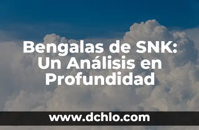 Significado de Fidel: Un Análisis en Profundidad 8 Bengalas de SNK: Un Análisis en Profundidad