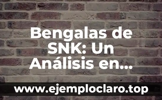 Bengalas de SNK: Un Análisis en Profundidad