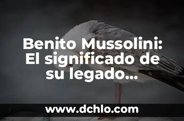 Frase significativa de Ronald Reagan: Un legado de liderazgo 5 Benito Mussolini: El significado de su legado histórico