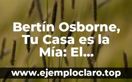 Bertín Osborne, Tu Casa es la Mía: El Programa de Intercambio de Viviendas más Popular