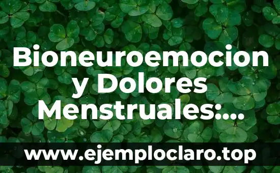 Comunidad de Bienes y Adquisiciones: Un Concepto Legal Integral 4 Bioneuroemocion y Dolores Menstruales: Un Enfoque Integral