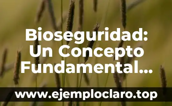 Bioseguridad: Un Concepto Fundamental en Nuestro Mundo