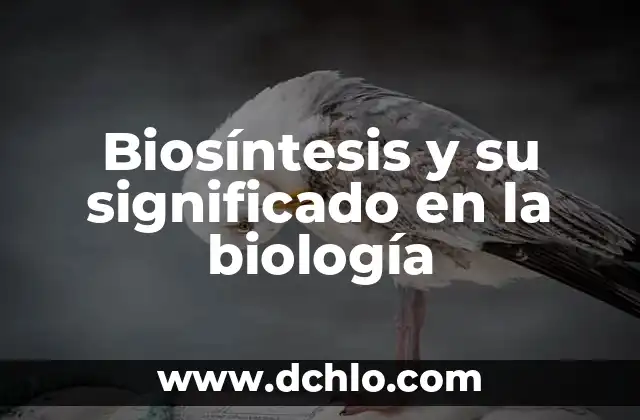 Significado de Filiforme - Un Enfoque en la Biología Vegetal 7 Biosíntesis y su significado en la biología