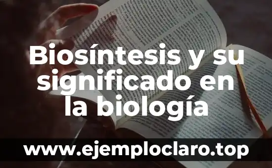 Biosíntesis y su significado en la biología